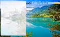 /album/pokedex-classico/a106-ditifishid-jpg/